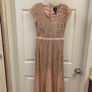 Size 2P, Blush Adrianna Papell evening gown!